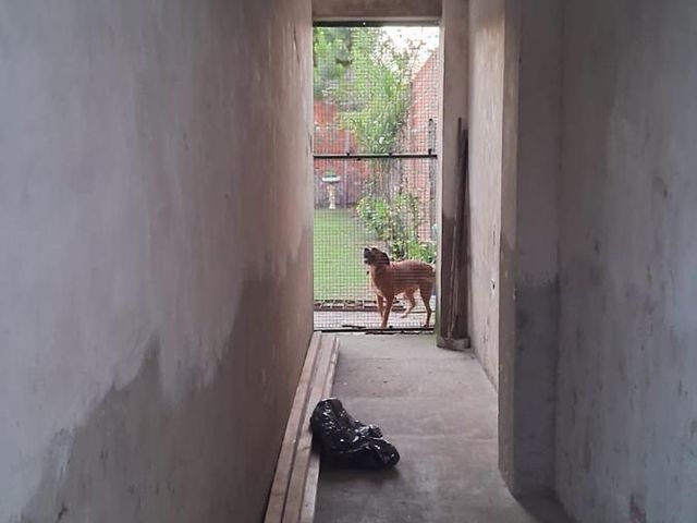 place photo 24