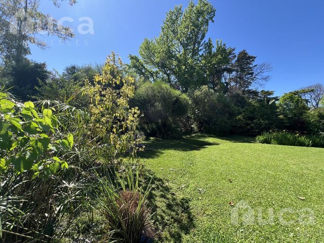 place photo 47