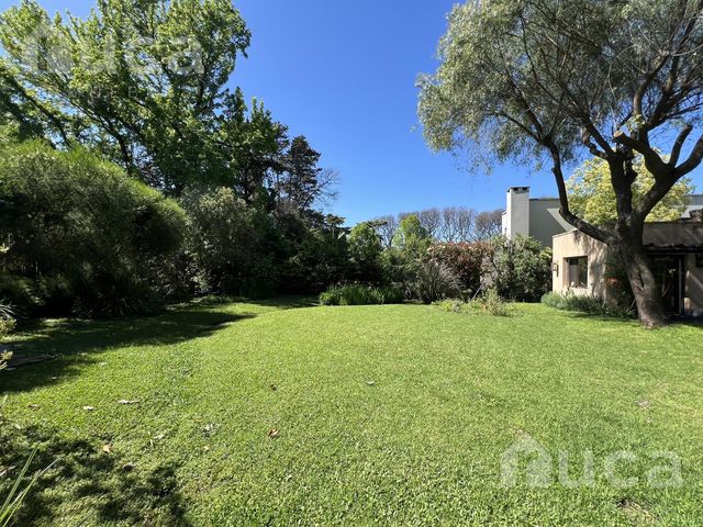 place photo 46