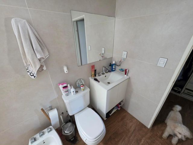 place photo 36