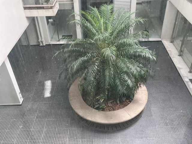 place photo 28