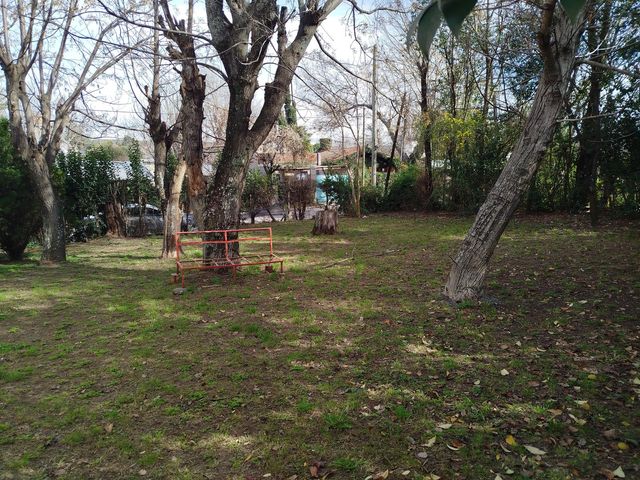 place photo 26