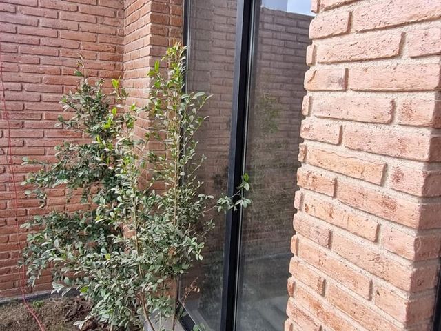 place photo 49