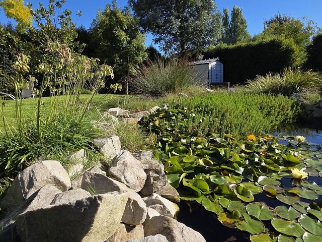 place photo 54