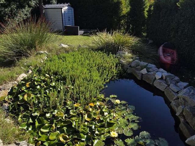 place photo 52
