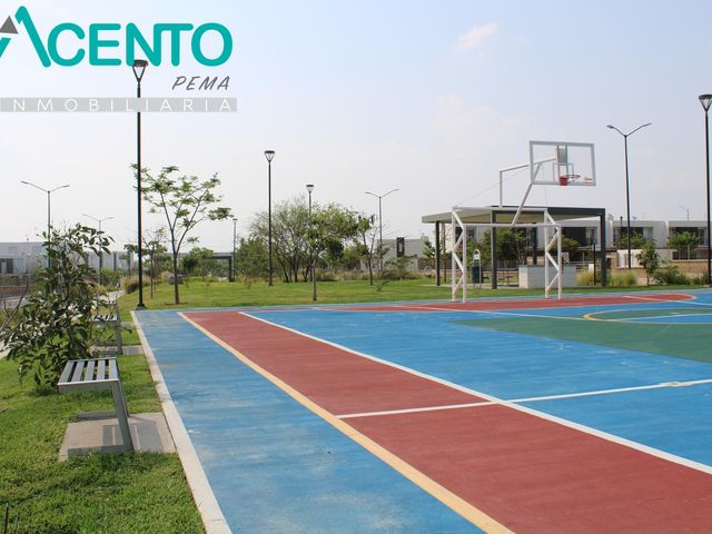 place photo 26