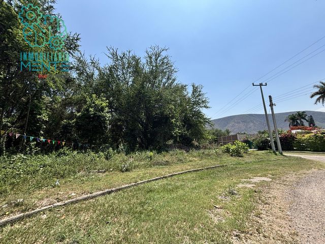 place photo 31