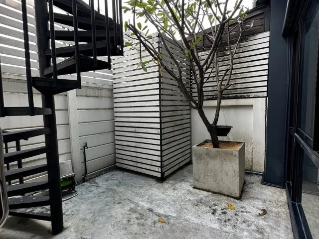 place photo 22