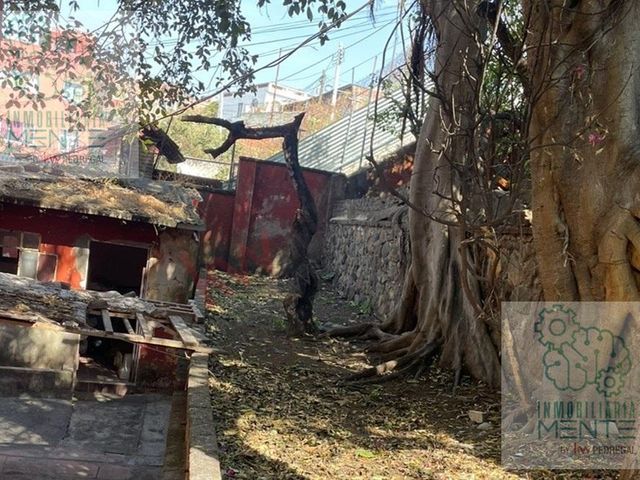 place photo 27