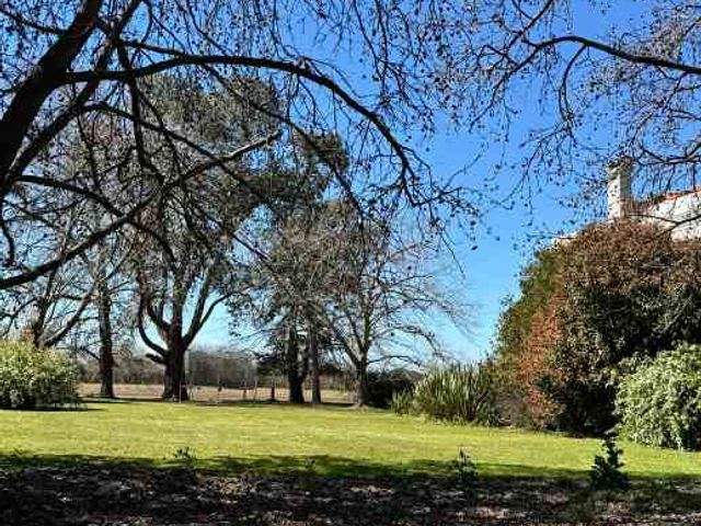 place photo 39