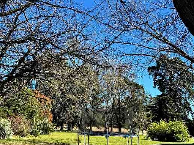 place photo 40