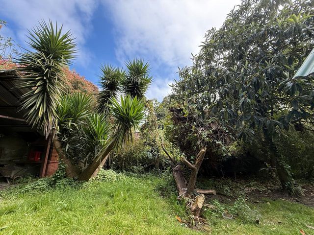 place photo 38