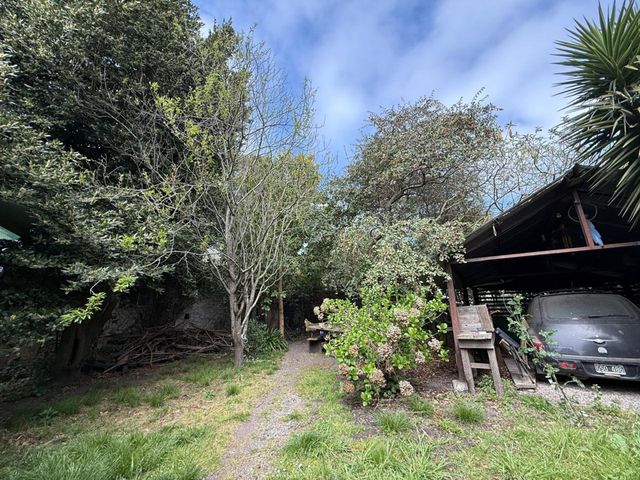 place photo 37