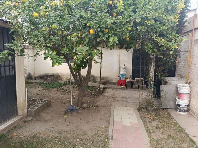 place photo 29