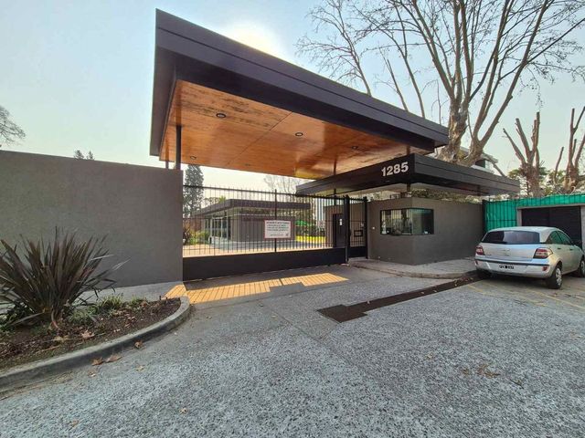 place photo 47