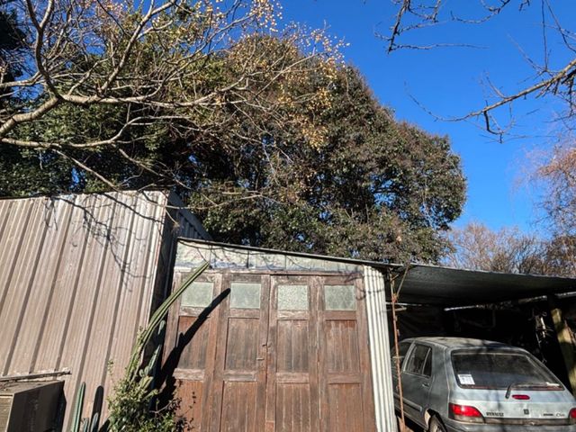 place photo 34