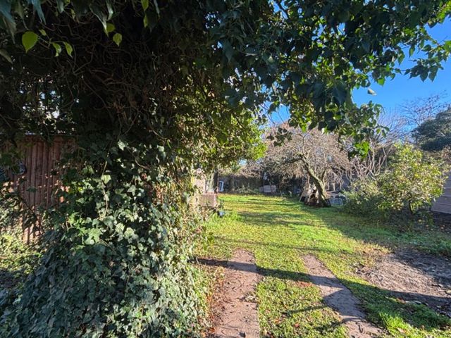 place photo 22