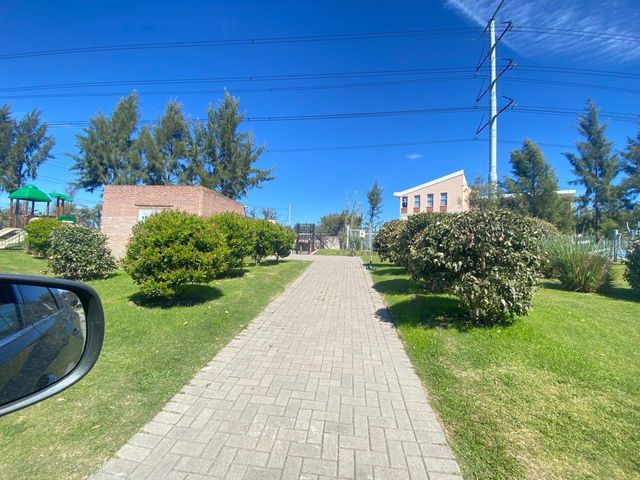 place photo 46
