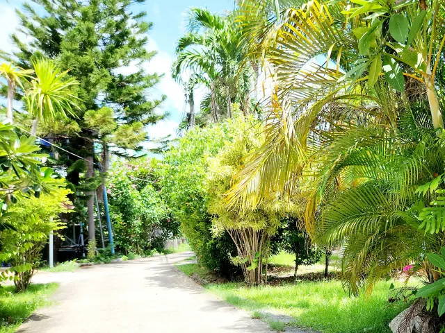 place photo 24