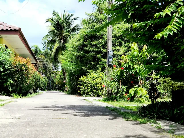 place photo 26