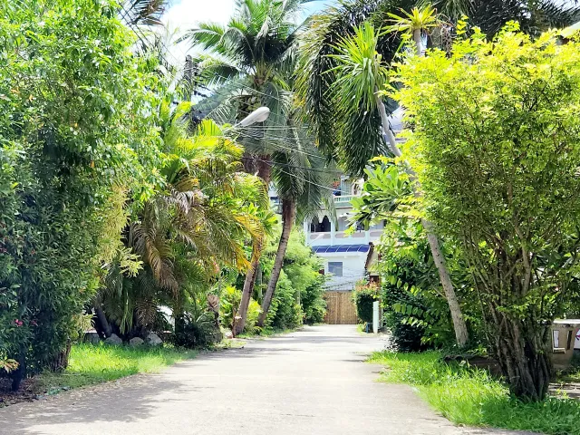 place photo 25