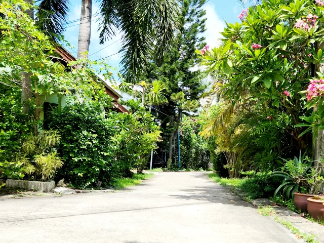 place photo 23
