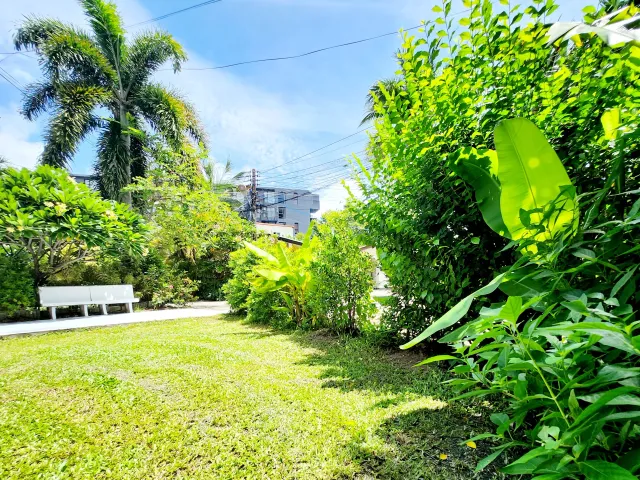 place photo 22