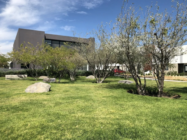 place photo 23