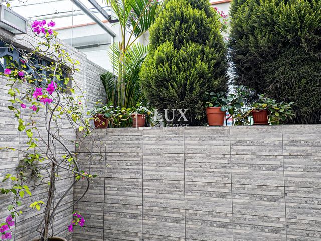 place photo 62
