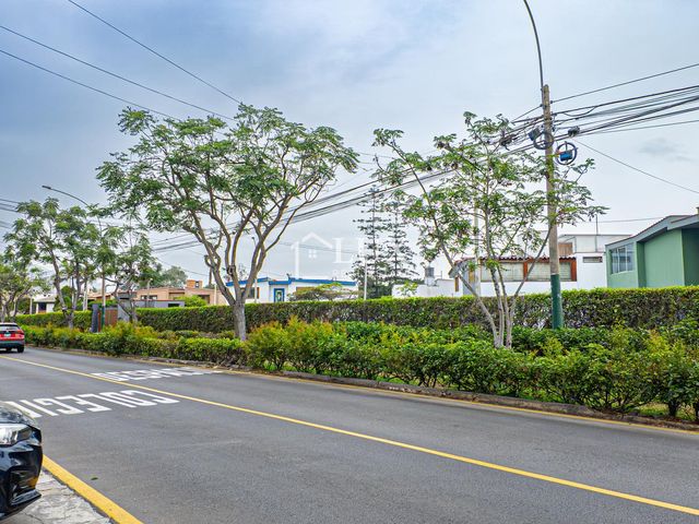 place photo 66