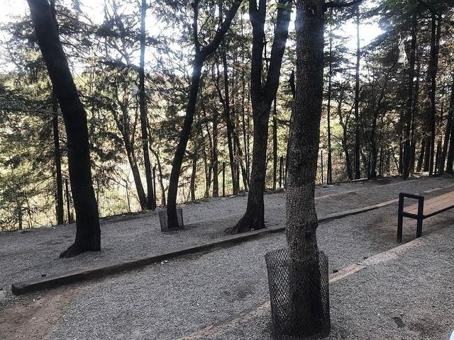 place photo 32