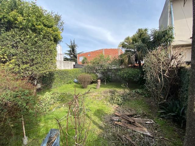 place photo 27