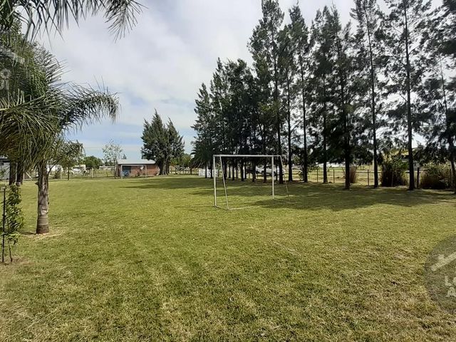 place photo 13