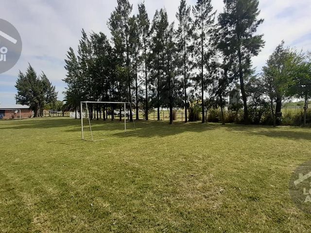 place photo 15
