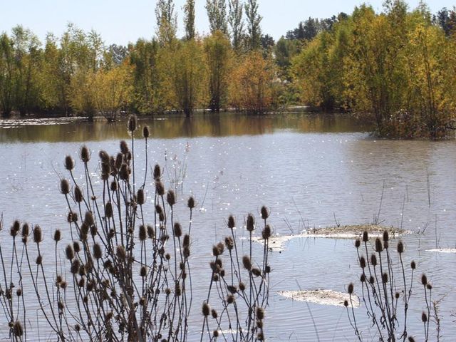 place photo 47