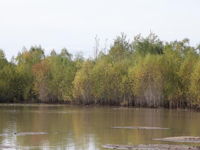 place photo 48