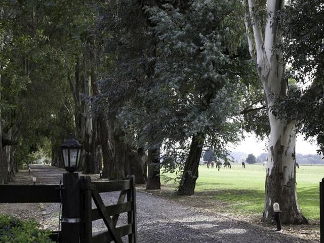 place photo 46