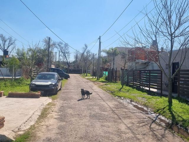 place photo 49