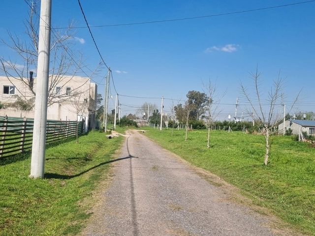 place photo 51