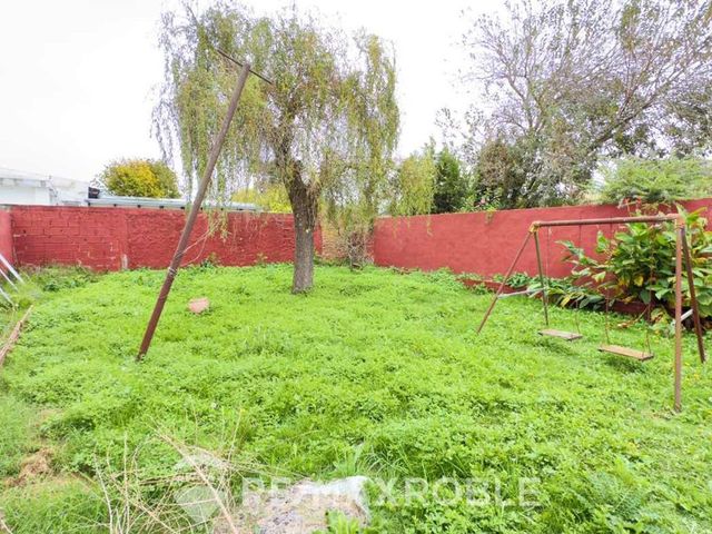 place photo 37