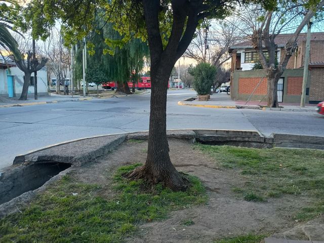 place photo 13