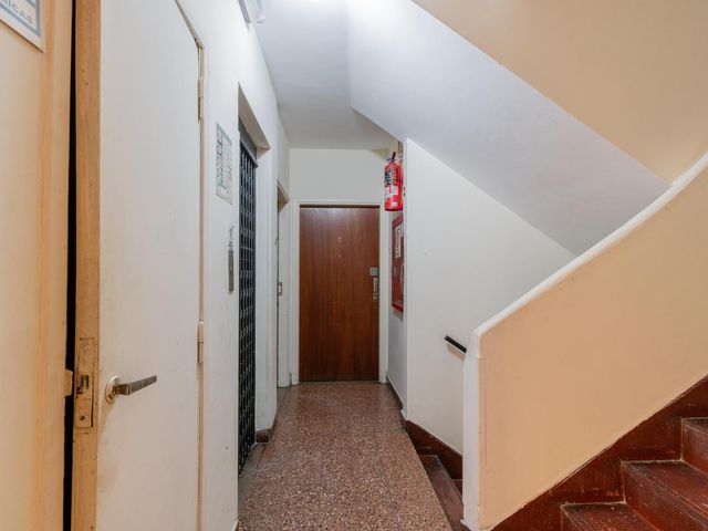 place photo 54