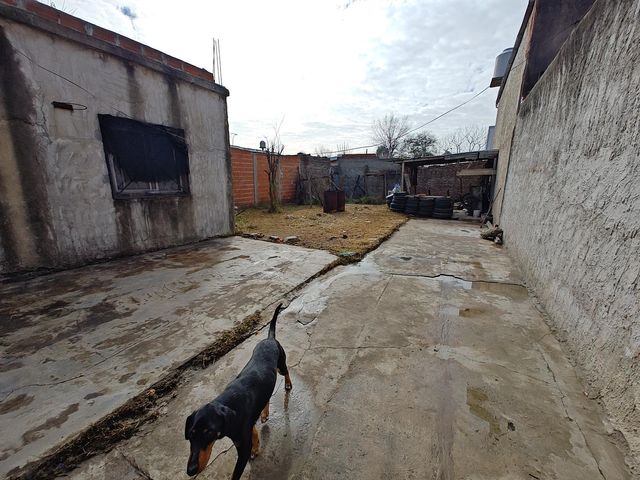 place photo 11