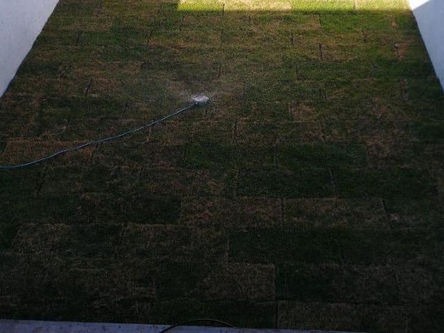 place photo 80