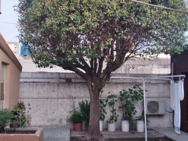 place photo 11