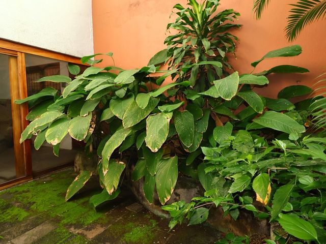 place photo 28
