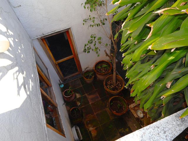 place photo 30