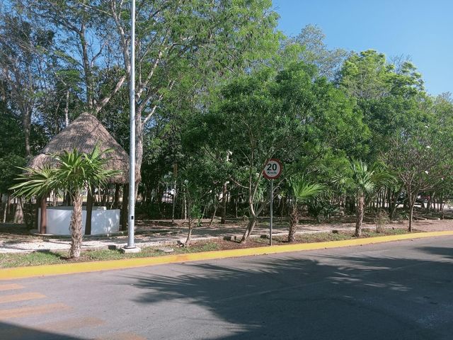 place photo 24