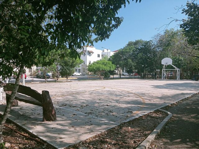 place photo 26