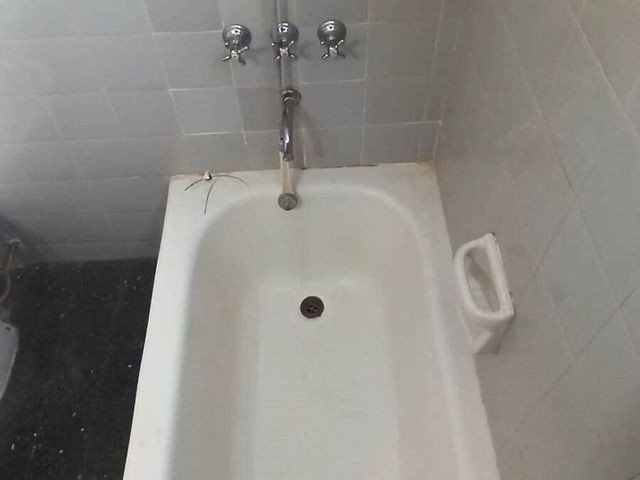 place photo 41